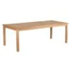 DeVries Woodie Gartentisch 220x100cm Teak
