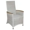 Zebra Loomus Gartensessel Geflecht Mit Teakarmlehnen Silkwhite -GartenMöbelPro Verkäufe 903180 1