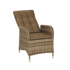 Ploß Rabida Gartensessel Geflecht Champagner/Savanna -GartenMöbelPro Verkäufe ploss rabida diningsessel champagner savanna 3